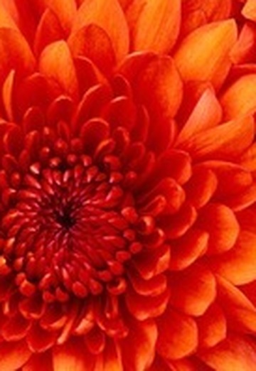 Natali (@natali45145) — my photo № 1