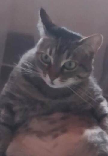 Natalі (@nataliyahamir) — my photo № 1