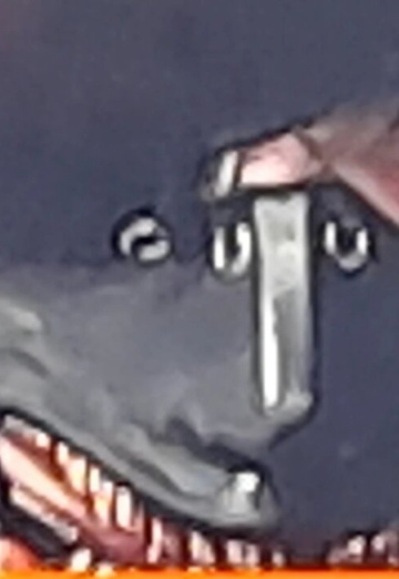 Pedro Concha (@pedroconcha) — my photo № 1