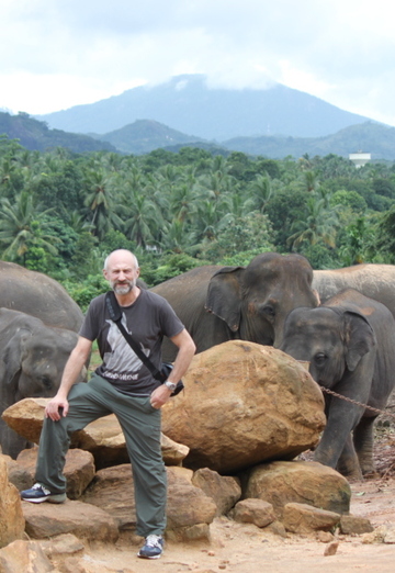 Negoro13 (@negoro32) — my photo № 6