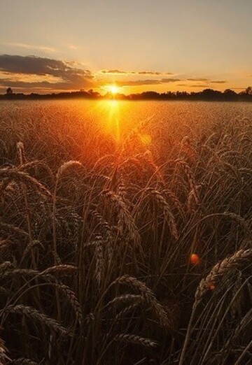 Nadejda (@nadejda70382) — my photo № 1