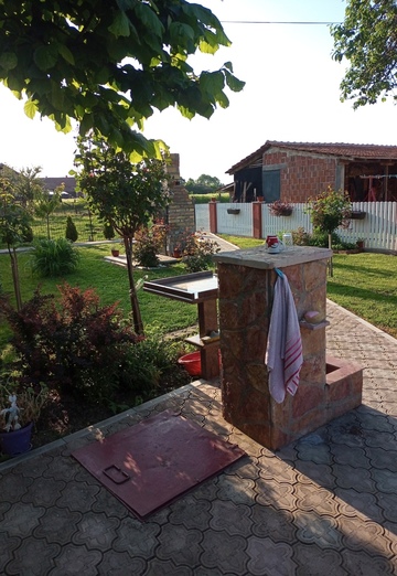 Nenad Zivanovic (@nenadzivanovic) — my photo № 3