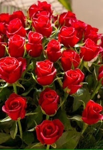 duman (@nedim4607029) — my photo № 10