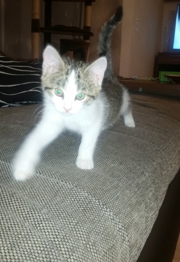 Yeduard (@eduard38927) — my photo № 3