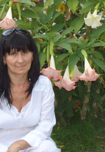 NELICHKA (@nelichka32) — my photo № 8