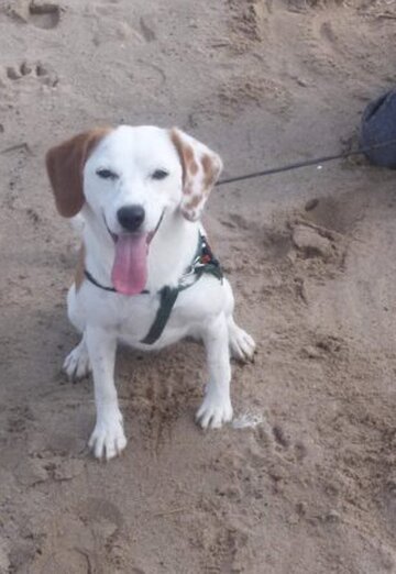 Natalya (@natalya140090) — my photo № 7