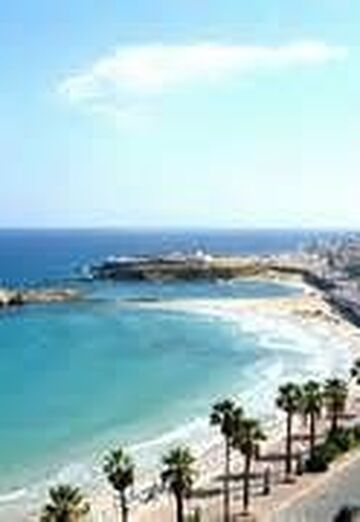 Natasha (@natasha48831) — my photo № 15