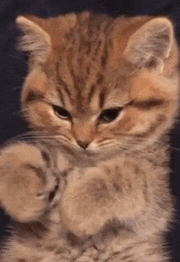 Ekaterina (@ekaterina167370) — my photo № 1