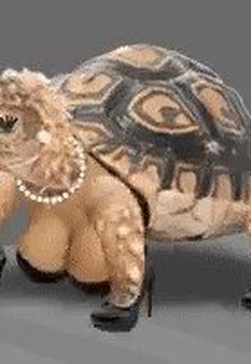 *********** nina (@natalya142587) — my photo № 1