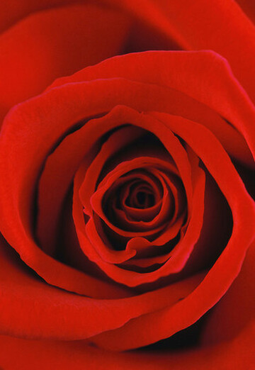 Nelli M. (@nelli1408) — my photo № 3