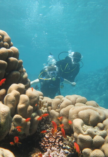 Elena (@elena290295) — my photo № 39