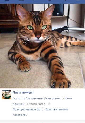 Nastya (@nastya35934) — my photo № 1