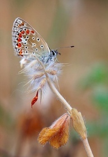 Nadi (@nadi6869115) — my photo № 5