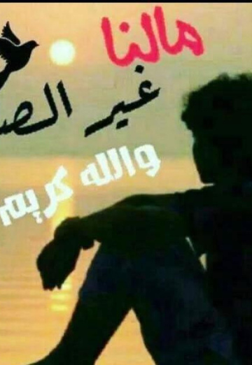 ابو بدر اليماني (@pnsepvj4bq) — my photo № 1