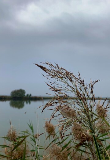 Natali (@natali74023) — my photo № 1