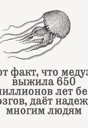 Narmina (@narmina86) — my photo № 1