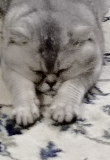 Necmi Cimen (@necmicimen2) — my photo № 1