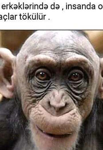 qambuzik (@qambuzik) — my photo № 1