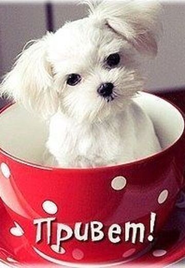 Olga (@nadejda8343) — my photo № 3