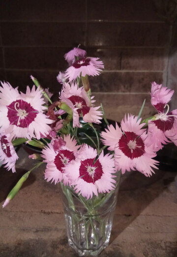 Nadejda (@nadejda27990) — my photo № 13