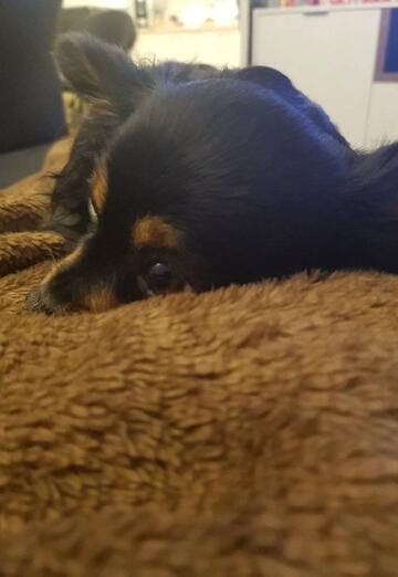 Elina (@elina7459) — my photo № 3