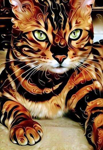 Najat Jallal (@najatjallal) — my photo № 1