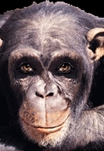 natusja (@natali52) — my photo № 2