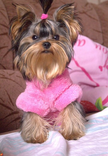 petar (@petar137) — my photo № 22