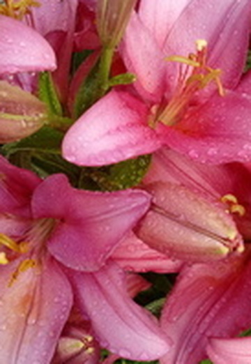 Nadejda (@nadejda53396) — my photo № 1