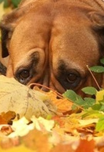 Natalija (@natalija219) — my photo № 2