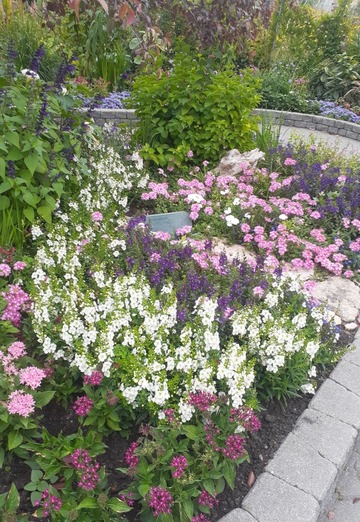 Nader Alolwa (@naderalolwa) — my photo № 1