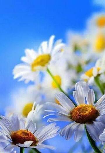 Nadya Kungojinova (@nadyakungojinova) — my photo № 1