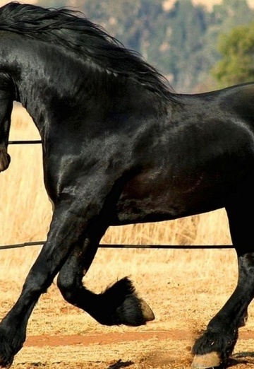 pohodnyy (@pohodniy0) — my photo № 3