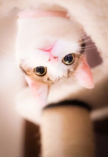 Natalya (@natalya192024) — my photo № 1