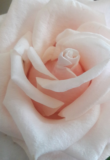 Antaliya (@natali65120) — my photo № 1