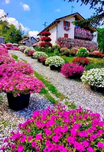 Nelson Velasquez (@nelsonvelasquez) — my photo № 2