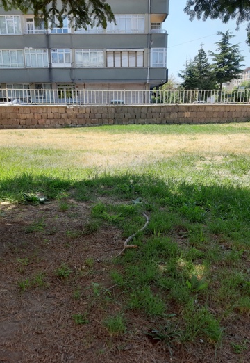 Nadim (@nadim218) — my photo № 1