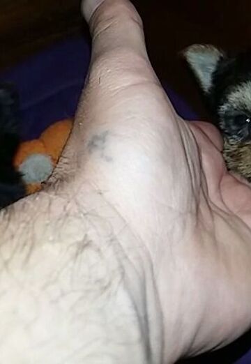 petar (@petar137) — my photo № 20