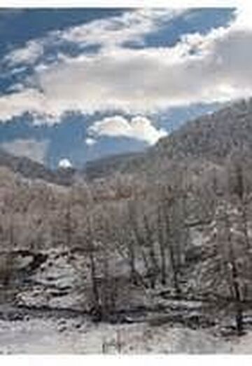 Natasha (@natasha48831) — my photo № 5