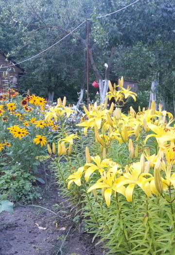 natalya (@natalya214541) — my photo № 1