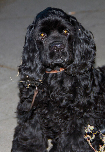 natalya (@natalya84685) — my photo № 6