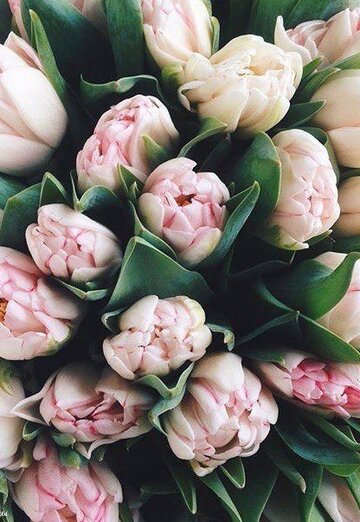 Nit (@nelli2545) — my photo № 8