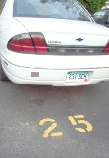 nellyaggeeva (@nellyaggeeva) — my photo № 21