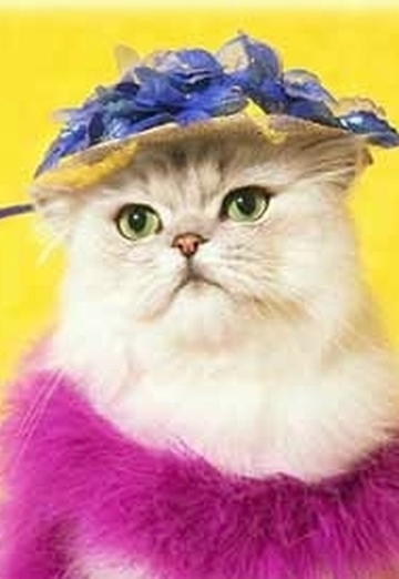 natusja (@natali52) — my photo № 1