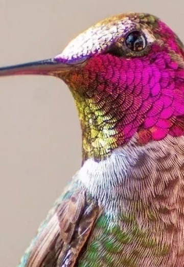 NN (@nadejda69241) — my photo № 1