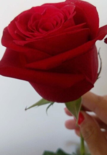 Nataliya (@nataliya33131) — my photo № 5