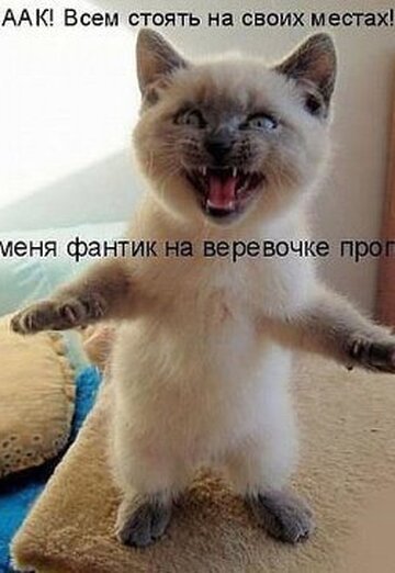 Nelli M. (@nelli1408) — my photo № 2