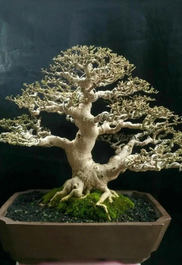 Nadejda (@nadejda113114) — my photo № 1