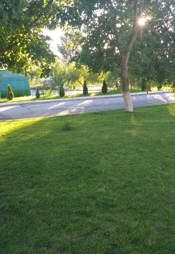 ND (@nd103) — my photo № 44