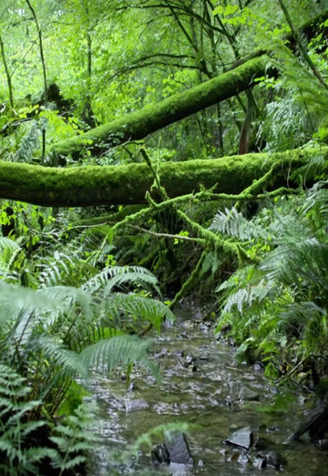 เอกชัย (@q1288m7fnr) — my photo № 1